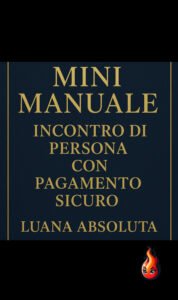 mini manuale incontri sicuri in presensa